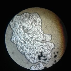 casein protein powder