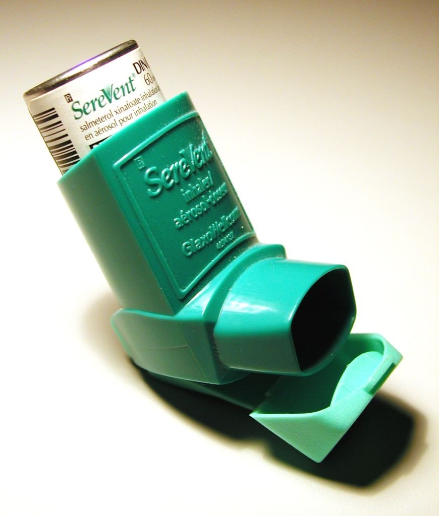 bronchodilator inhaler bronchodilator inhaler